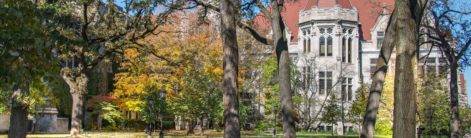 UChicago campus in Fall