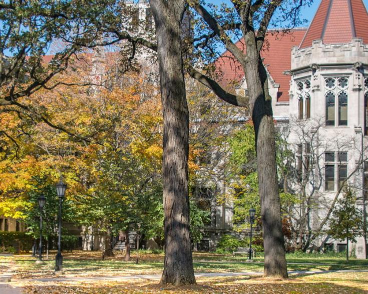 UChicago campus in Fall