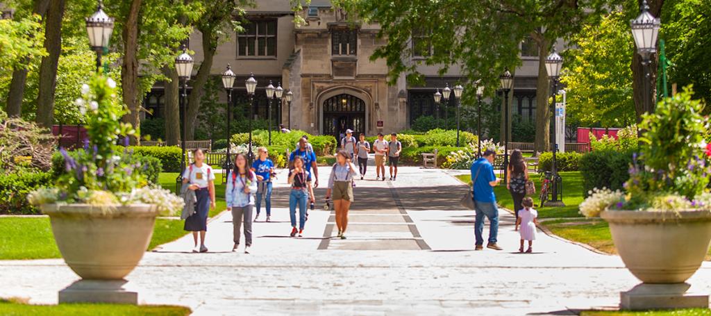 Harper Quad in Summer